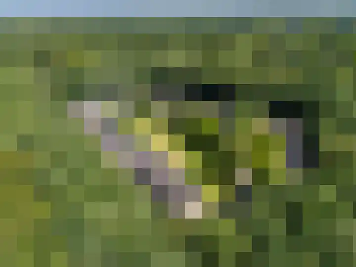 Carel Beukerhof 34 Heelsum thumbnail 19