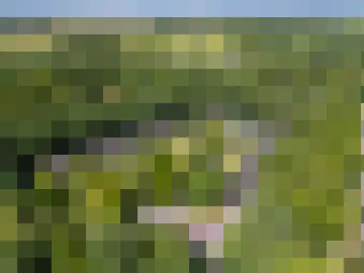 Carel Beukerhof 34 Heelsum thumbnail 20