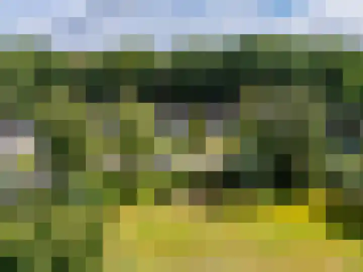 Carel Beukerhof 34 Heelsum thumbnail 4
