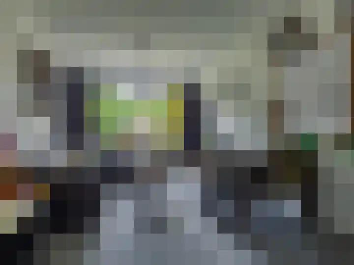 Carel Beukerhof 34 Heelsum thumbnail 7