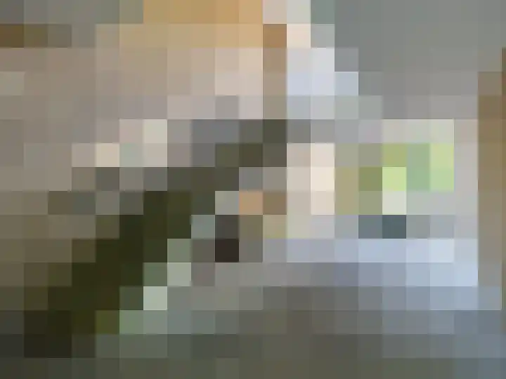 Carel Beukerhof 7 I Heelsum thumbnail 15