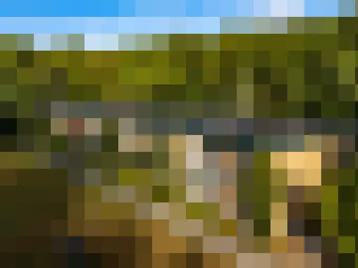 Carel Beukerhof 7 I Heelsum thumbnail 16