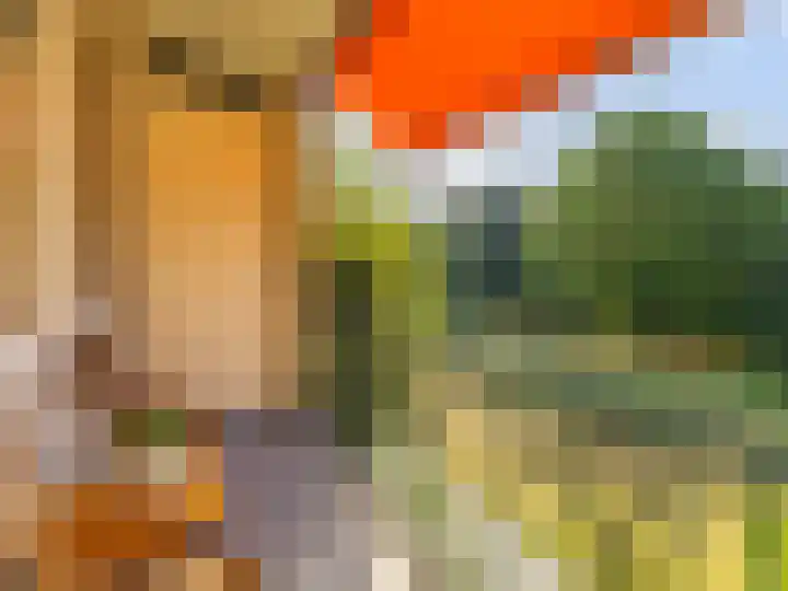 Carel Beukerhof 7 I Heelsum thumbnail 8