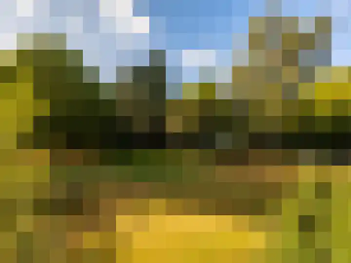 Carel Beukerhof 7 I Heelsum thumbnail 9