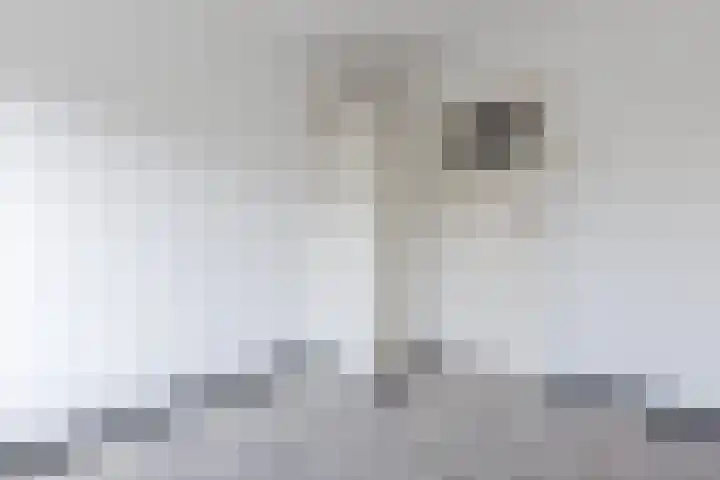 Carel Fabritiuslaan 13 Amstelveen thumbnail 19