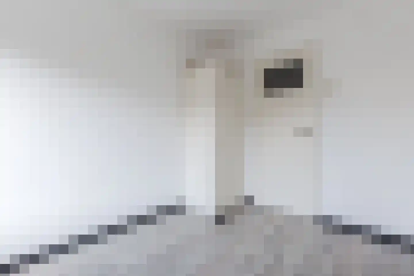 Carel Fabritiuslaan 13 Amstelveen thumbnail 19