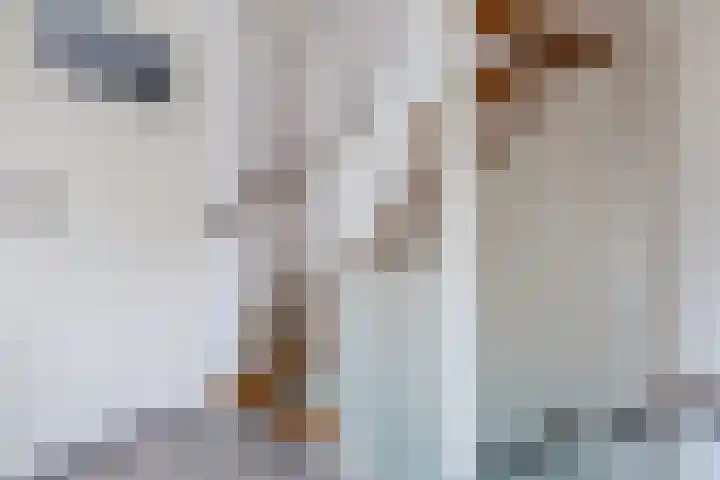 Carel Fabritiuslaan 13 Amstelveen thumbnail 22