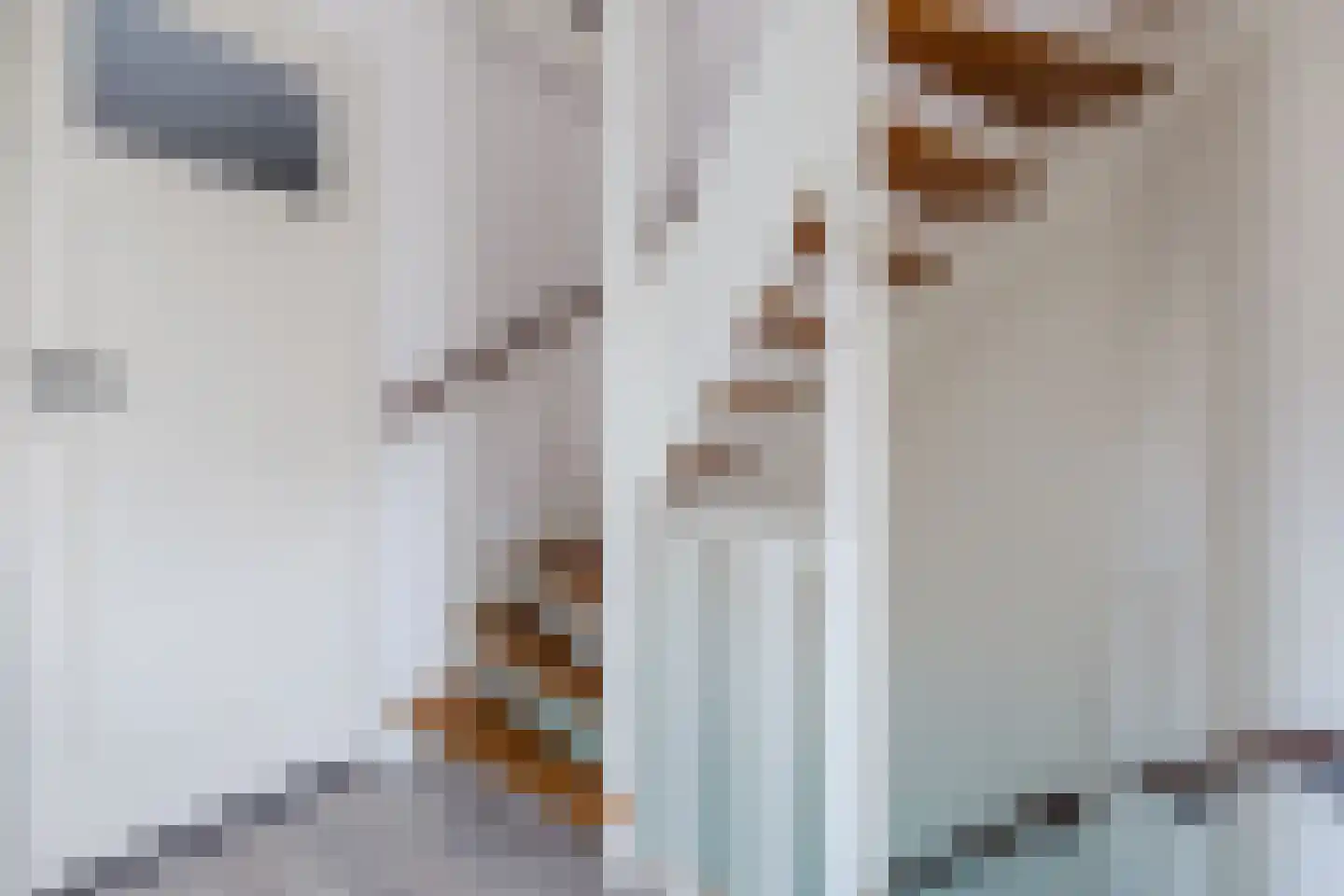 Carel Fabritiuslaan 13 Amstelveen thumbnail 22