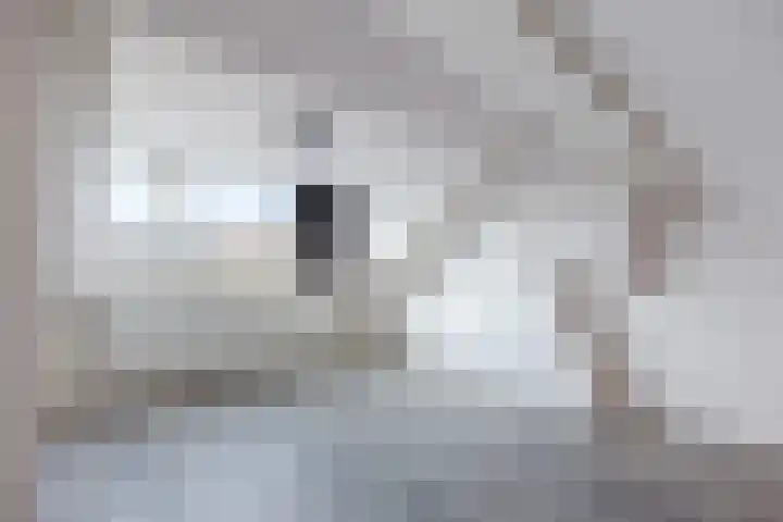 Carel Fabritiuslaan 13 Amstelveen thumbnail 23
