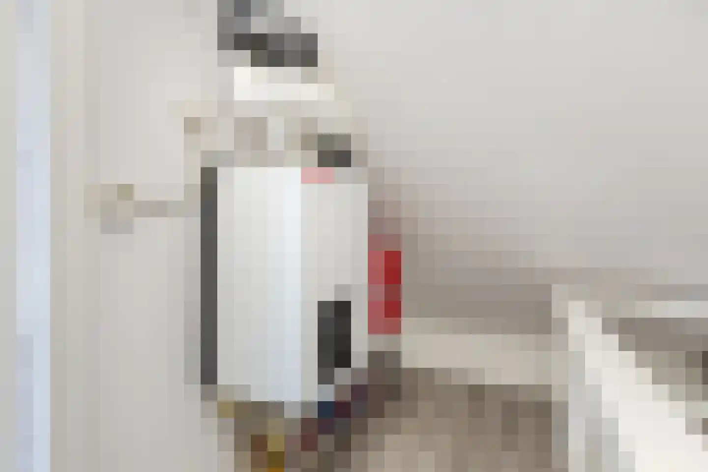 Carel Fabritiuslaan 13 Amstelveen thumbnail 26