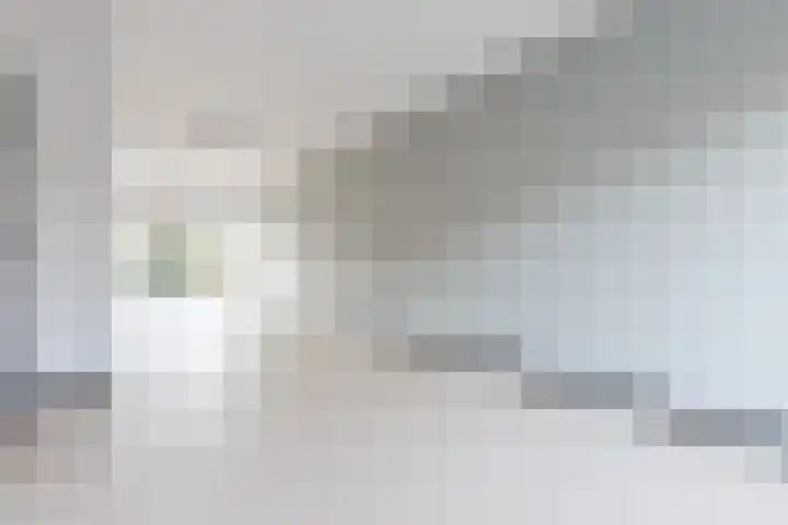 Carel Fabritiuslaan 13 Amstelveen thumbnail 7