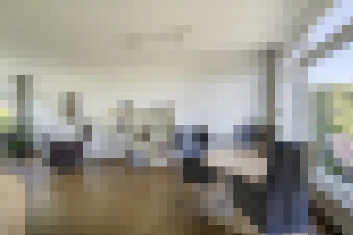 Carel Fabritiuslaan 13 Voorschoten thumbnail 19