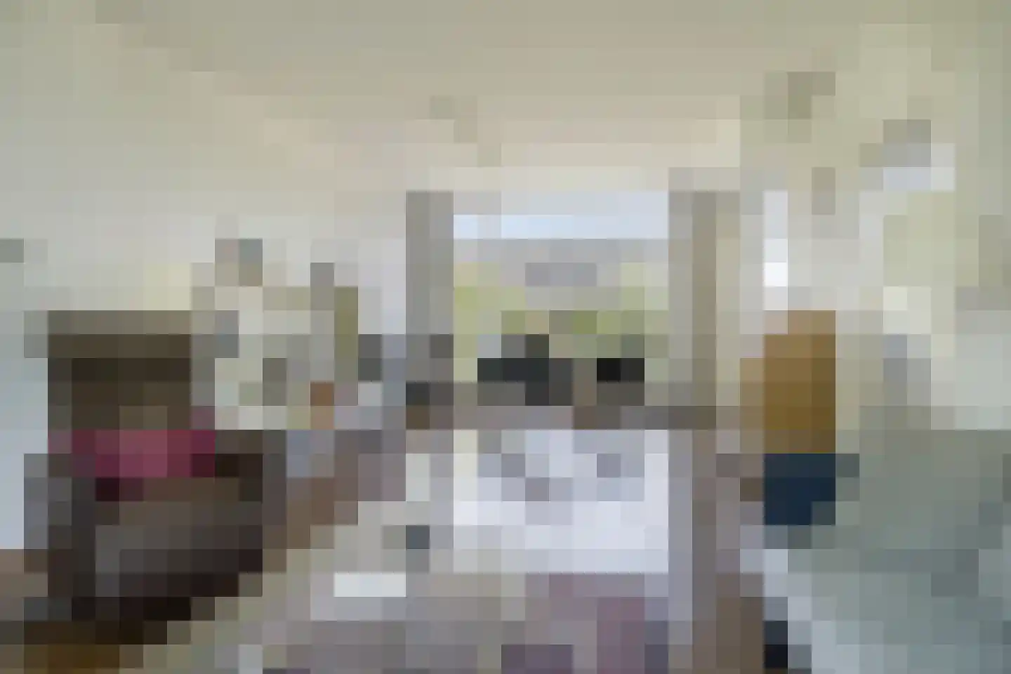 Carel Fabritiuslaan 13 Voorschoten thumbnail 22