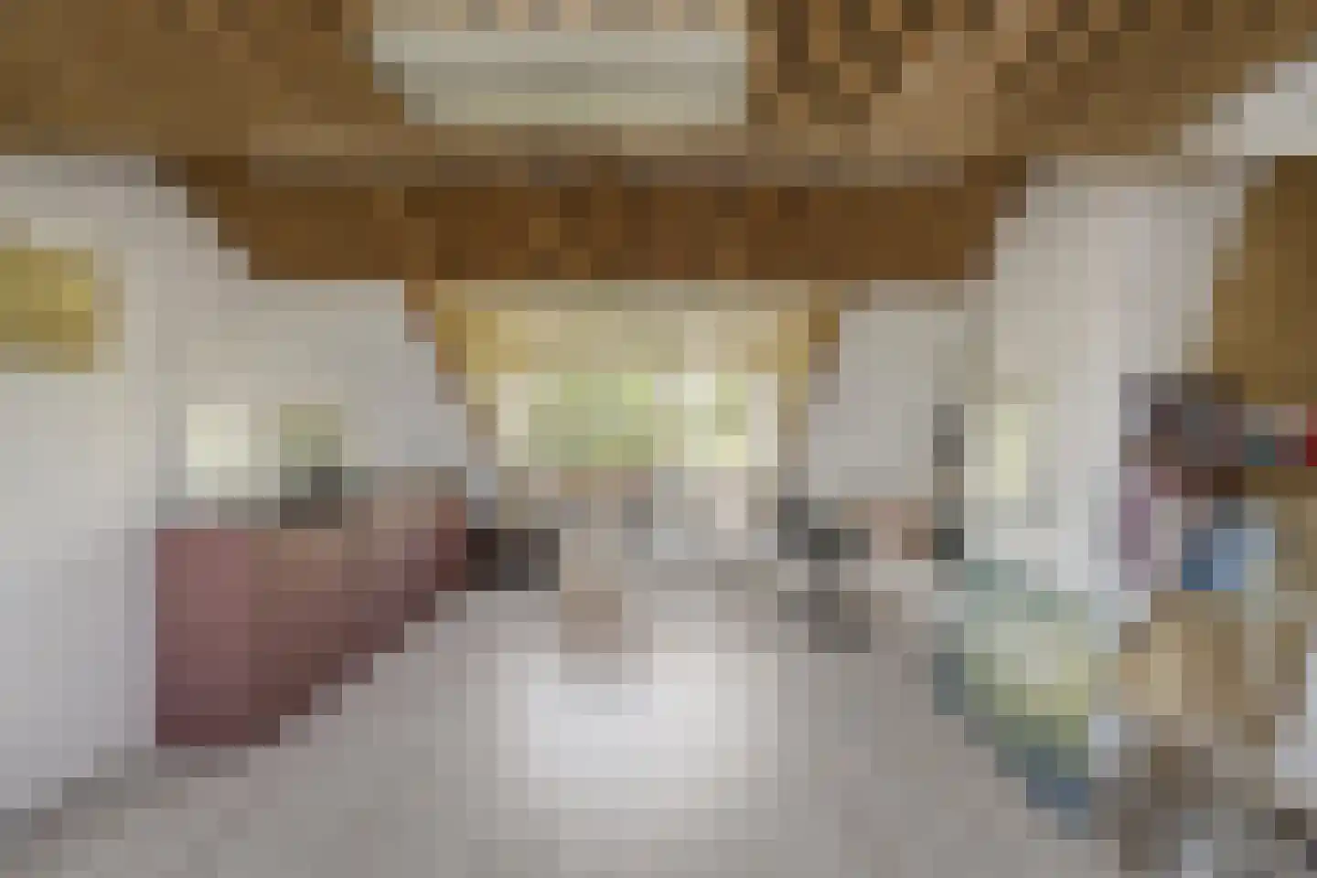 Carel Fabritiuslaan 13 Voorschoten thumbnail 36