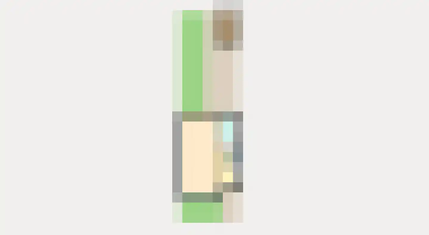Carel Fabritiuslaan 13 Voorschoten thumbnail 41