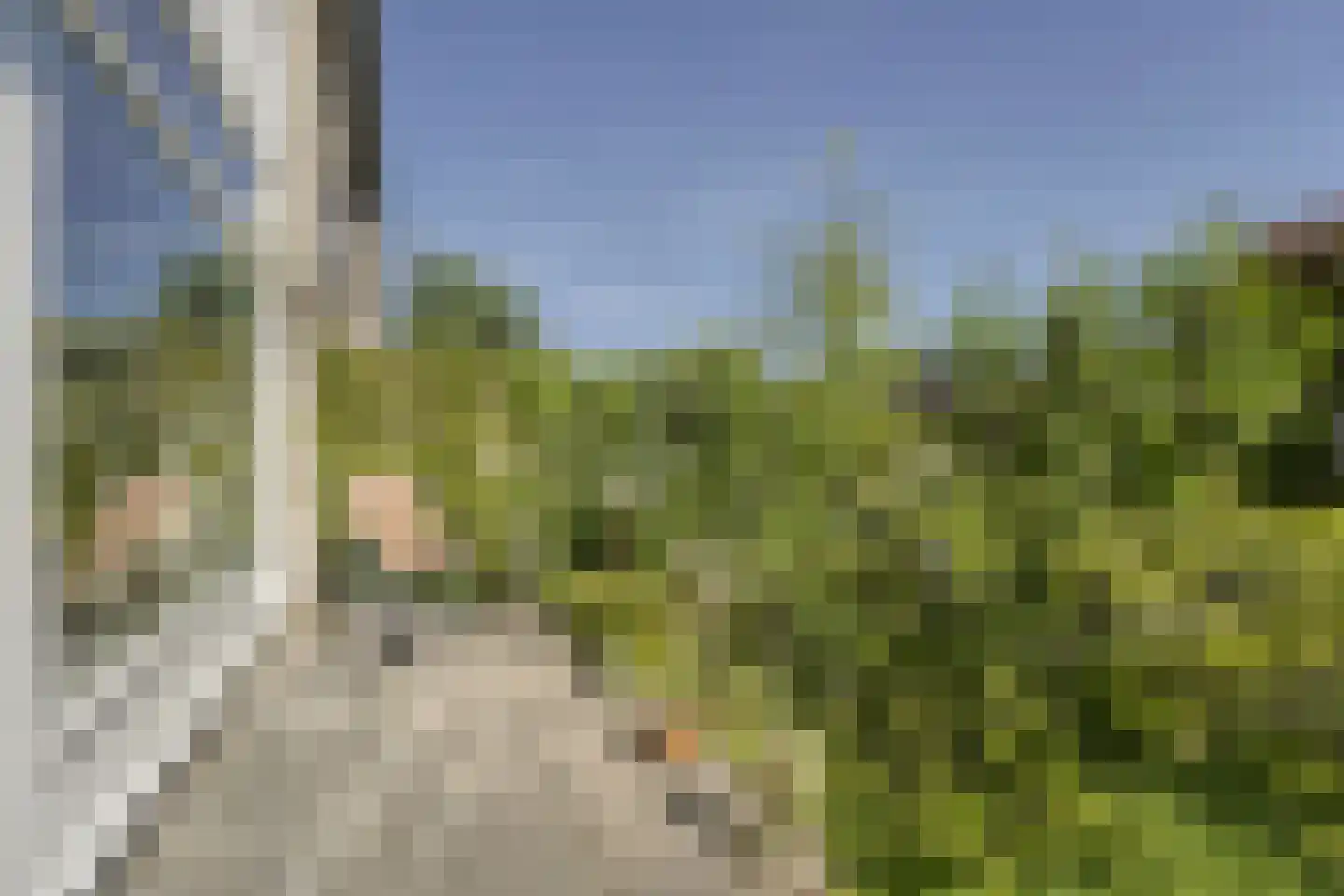 Carel Fabritiuslaan 13 Voorschoten thumbnail 8