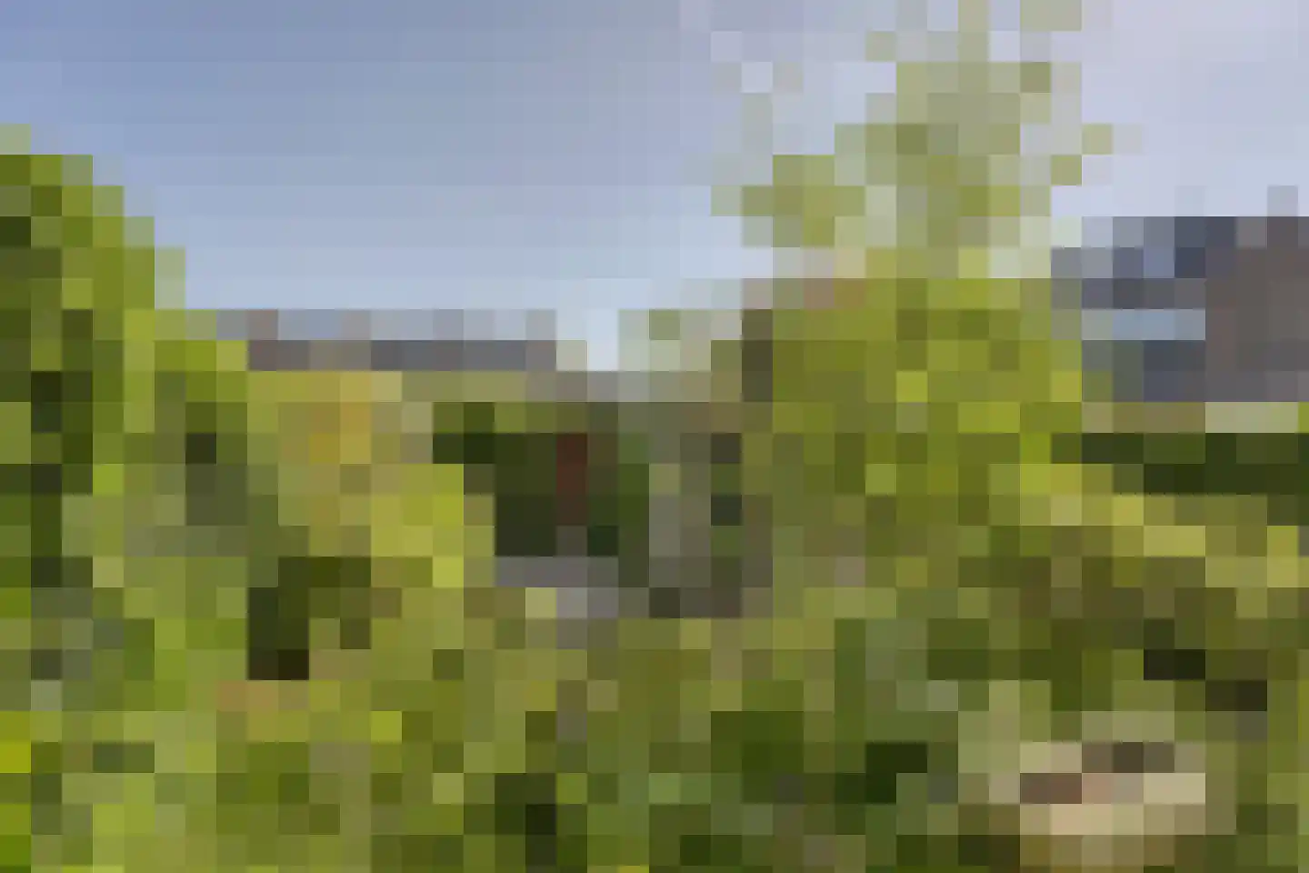 Carel Fabritiuslaan 13 Voorschoten thumbnail 9