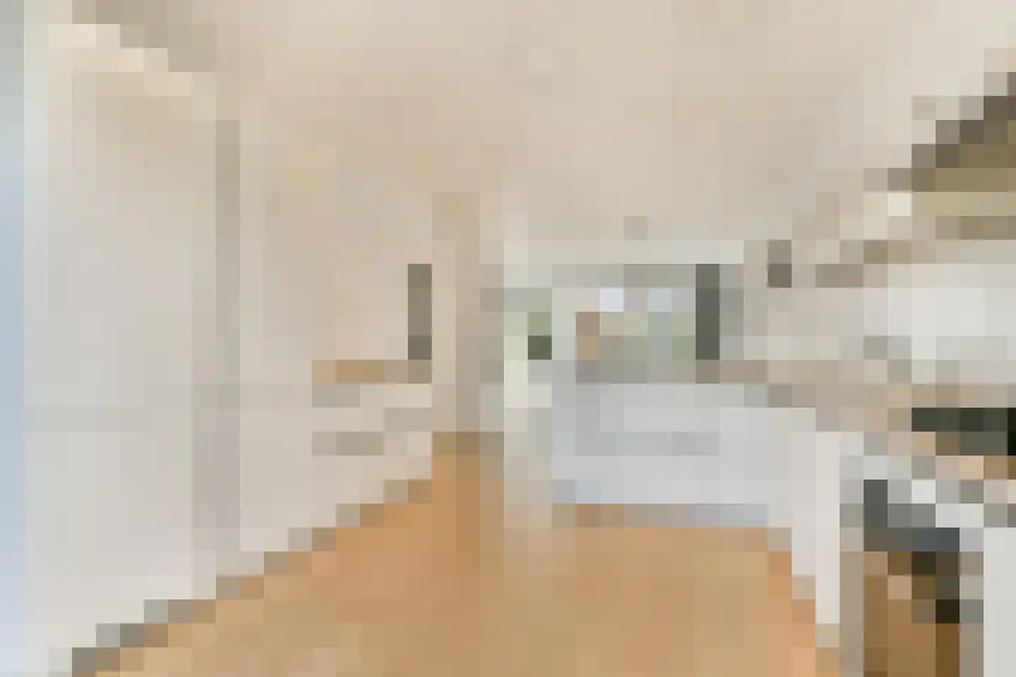 Carel Fabritiuslaan 26 Amstelveen thumbnail 4