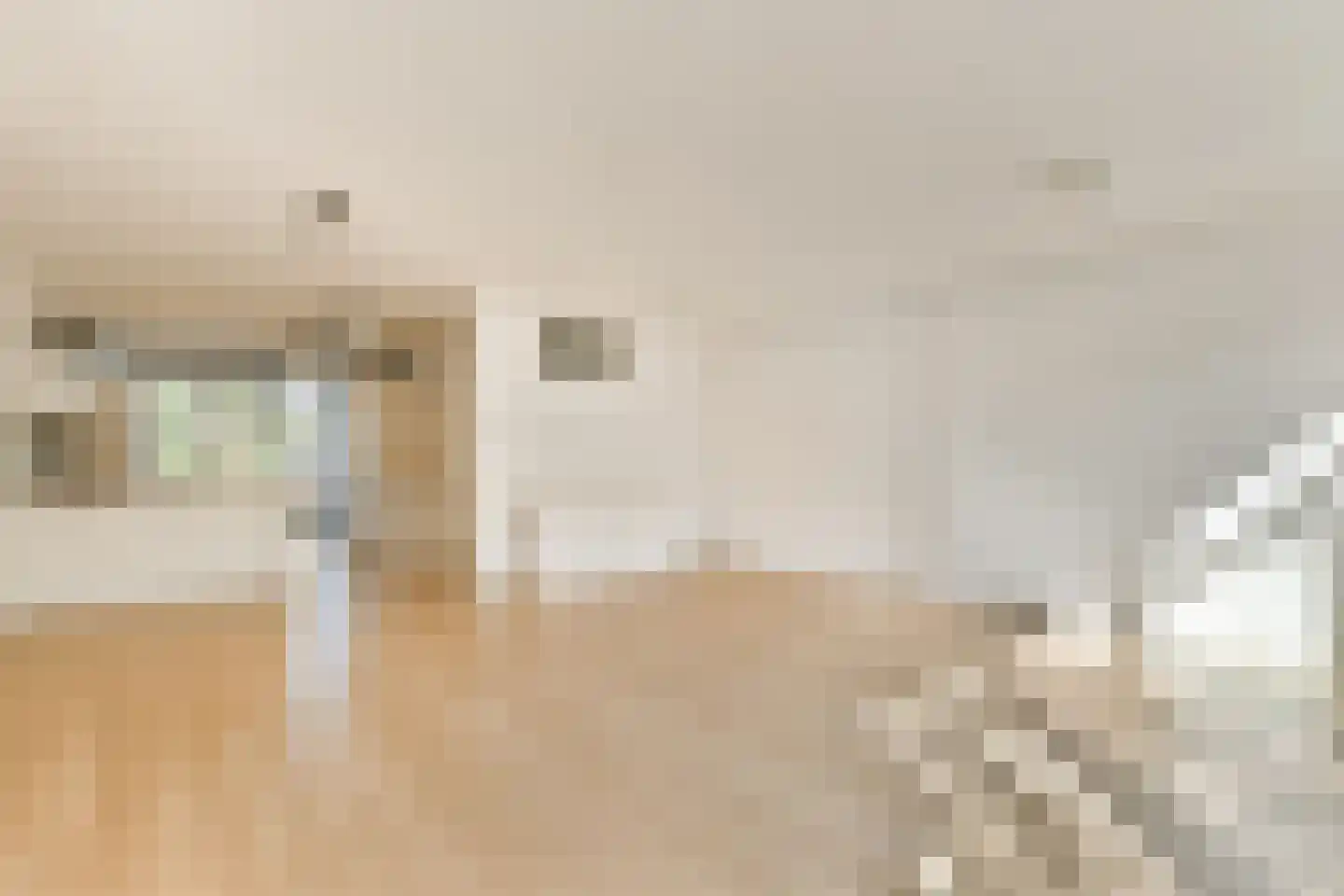Carel Fabritiuslaan 26 Amstelveen thumbnail 8
