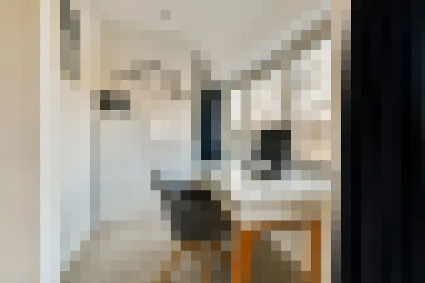 Carel Fabritiuslaan 28 Amstelveen thumbnail 23
