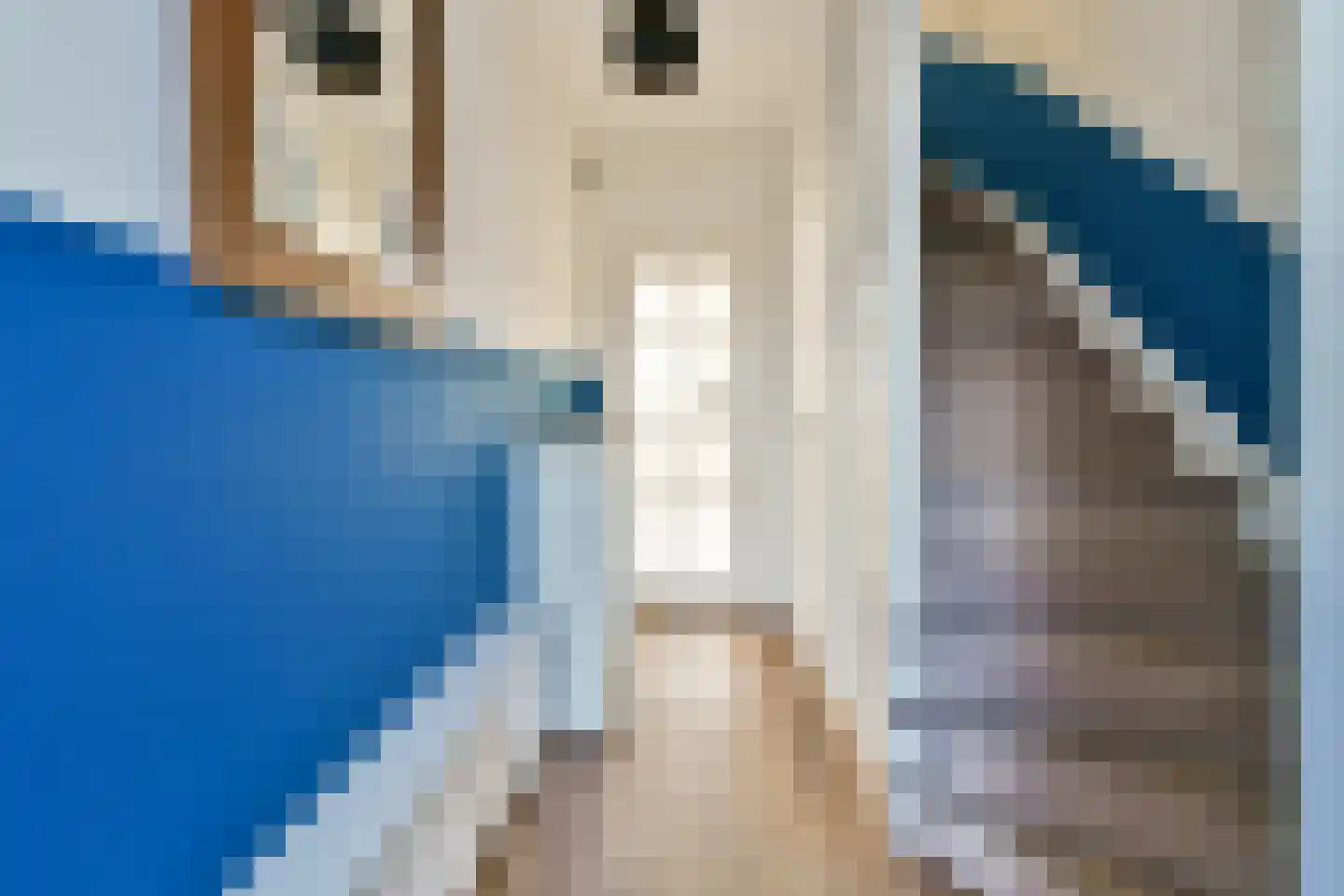 Carel Fabritiuslaan 28 Amstelveen thumbnail 4