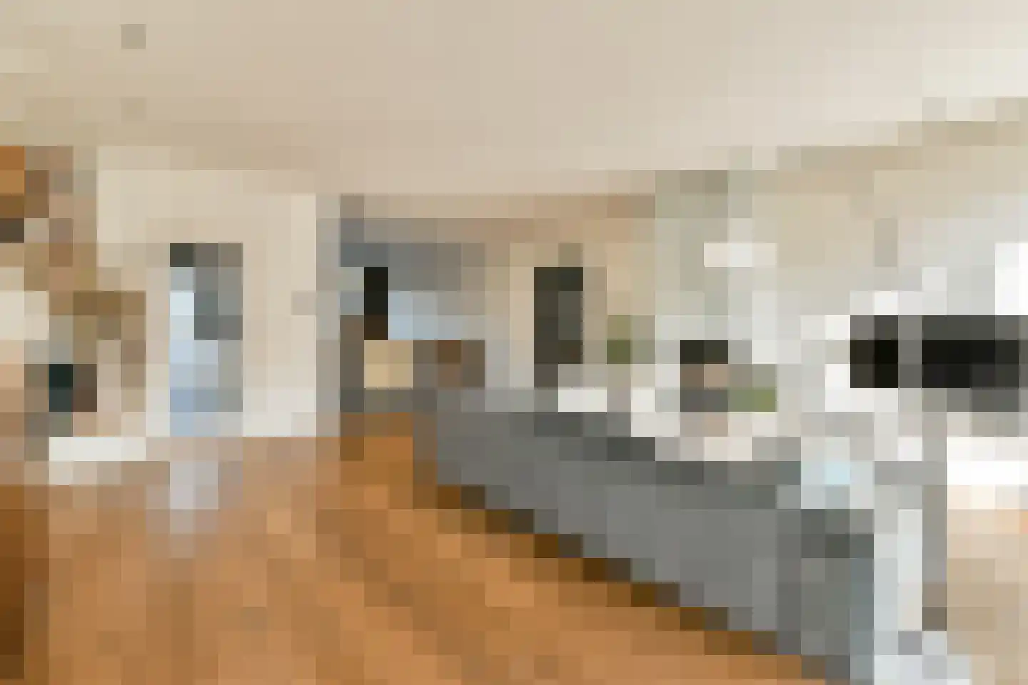 Carel Fabritiuslaan 28 Amstelveen thumbnail 6