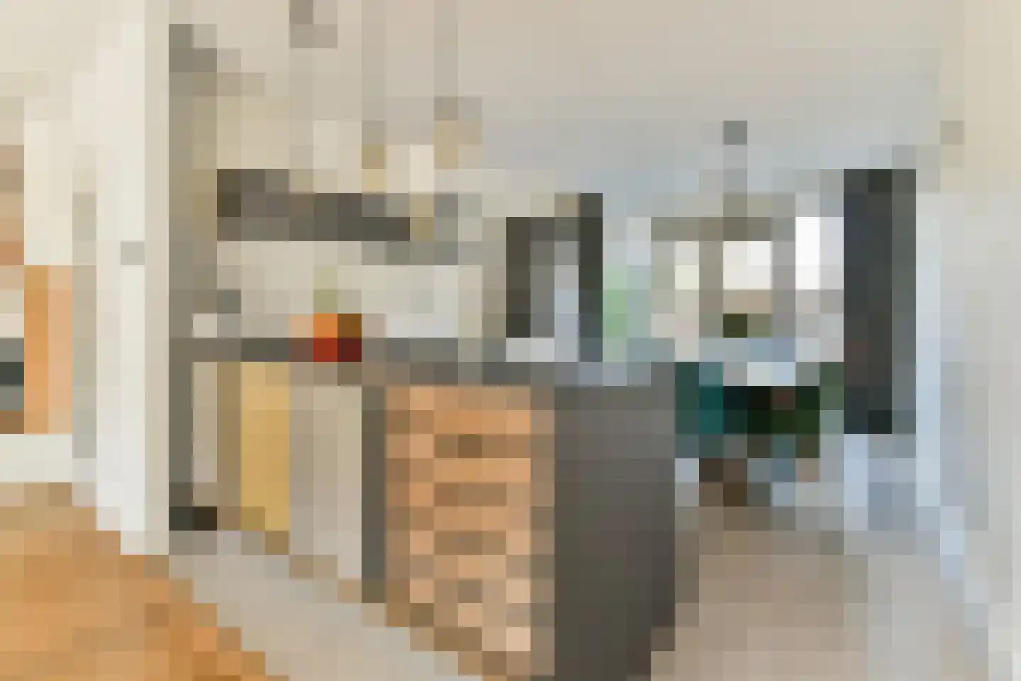 Carel Fabritiuslaan 28 Amstelveen thumbnail 7