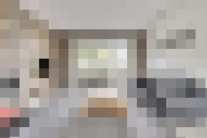 Carel Fabritiuslaan 31 Yerseke thumbnail 10