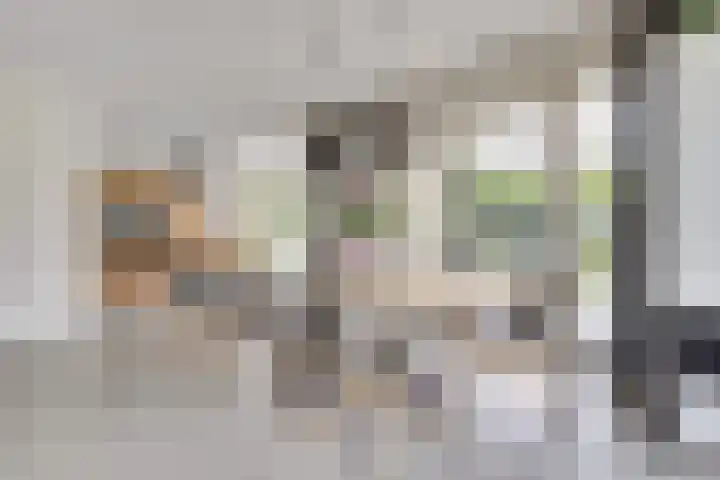 Carel Fabritiuslaan 31 Yerseke thumbnail 13