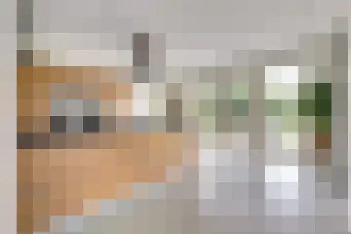 Carel Fabritiuslaan 31 Yerseke thumbnail 15