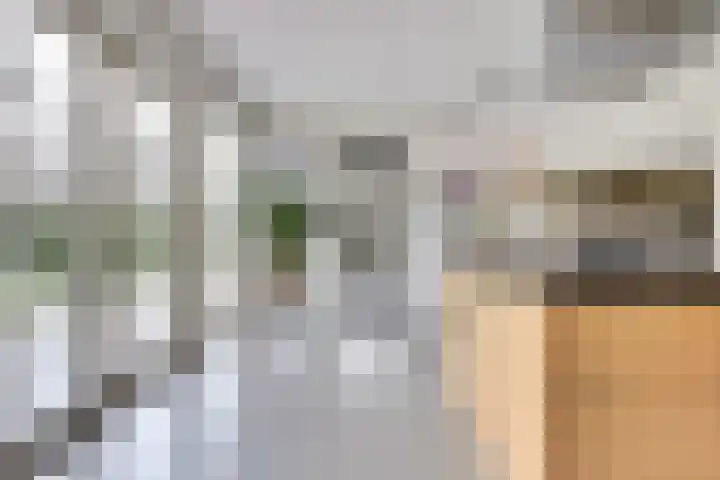 Carel Fabritiuslaan 31 Yerseke thumbnail 18