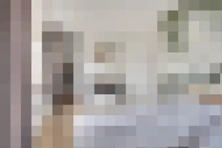 Carel Fabritiuslaan 31 Yerseke thumbnail 25