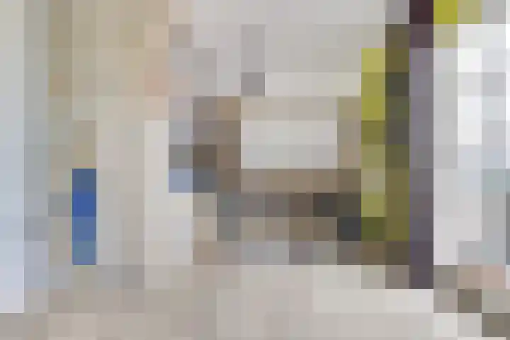 Carel Fabritiuslaan 31 Yerseke thumbnail 27