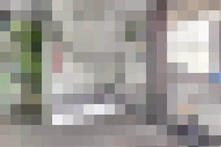 Carel Fabritiuslaan 31 Yerseke thumbnail 29