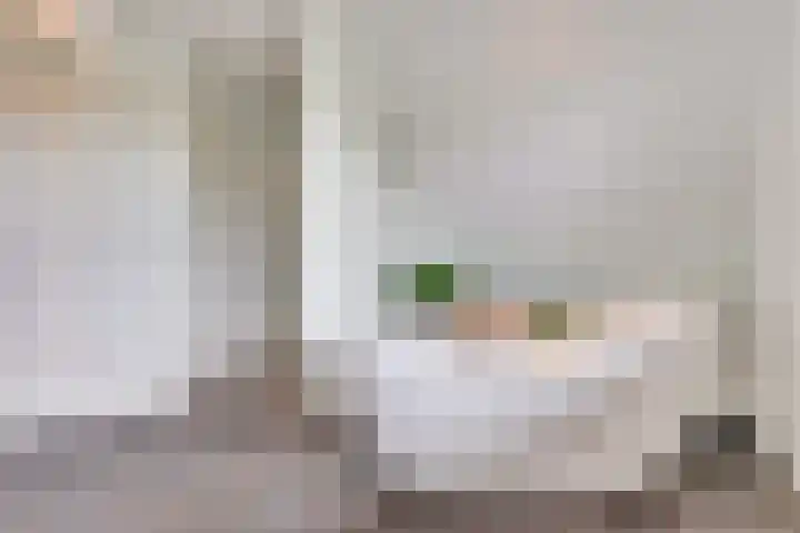 Carel Fabritiuslaan 31 Yerseke thumbnail 34