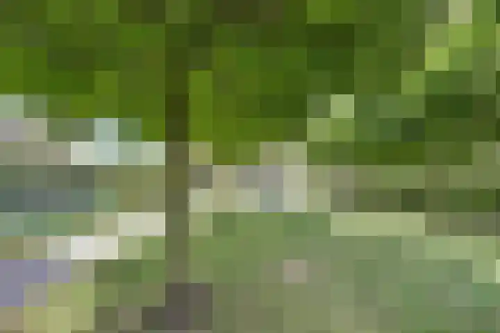 Carel Fabritiuslaan 31 Yerseke thumbnail 48