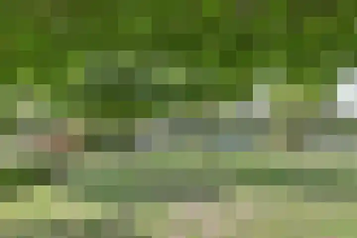 Carel Fabritiuslaan 31 Yerseke thumbnail 49