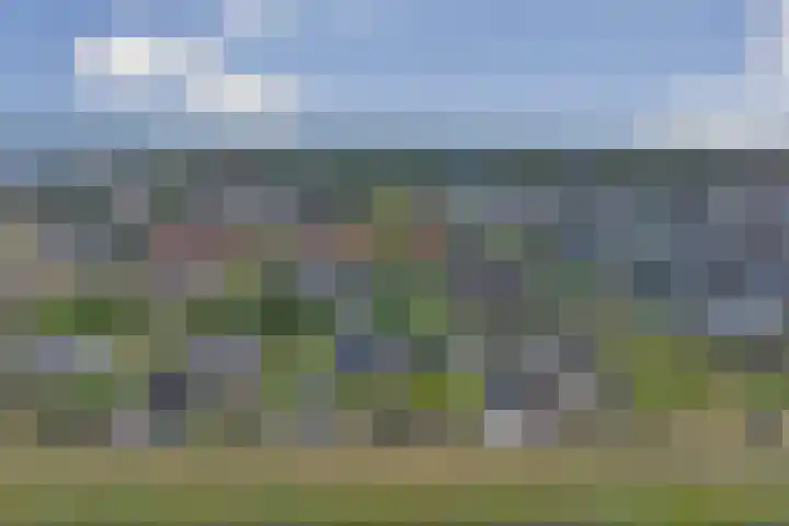Carel Fabritiuslaan 31 Yerseke thumbnail 52