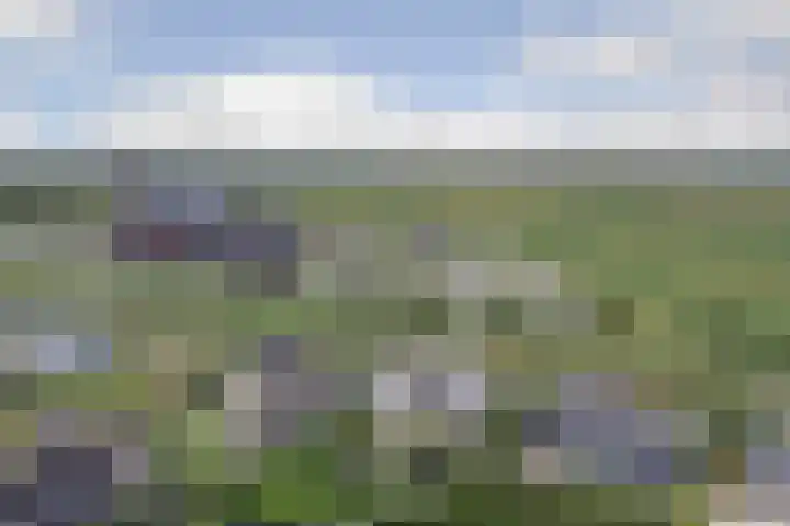 Carel Fabritiuslaan 31 Yerseke thumbnail 53