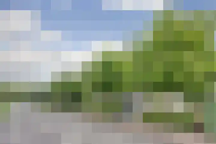Carel Fabritiuslaan 31 Yerseke thumbnail 56