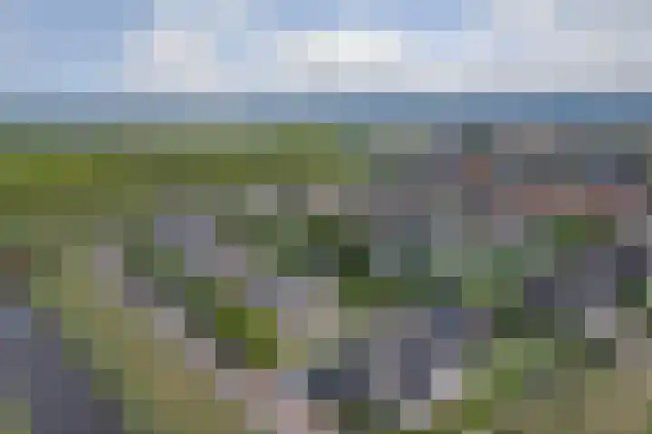 Carel Fabritiuslaan 31 Yerseke thumbnail 57