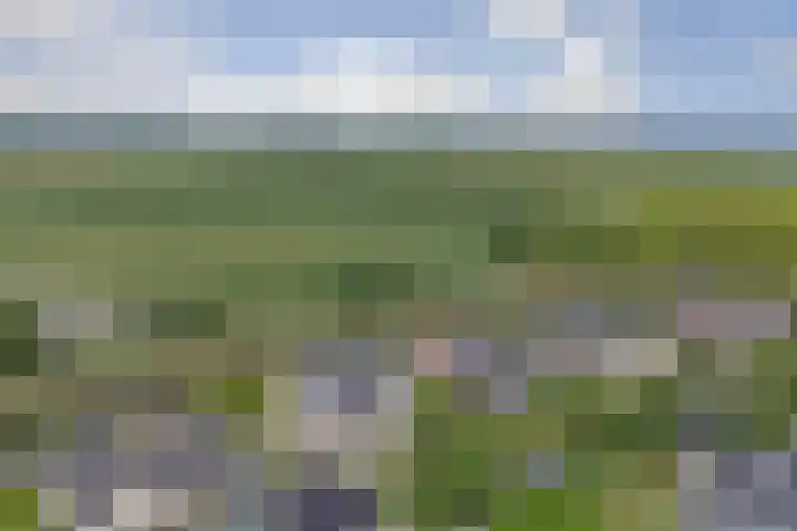 Carel Fabritiuslaan 31 Yerseke thumbnail 59