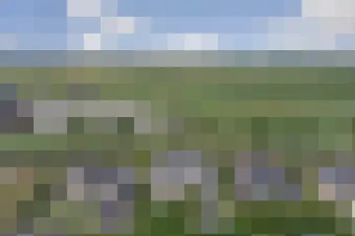 Carel Fabritiuslaan 31 Yerseke thumbnail 60