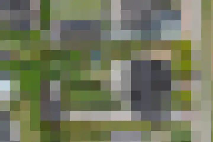 Carel Fabritiuslaan 31 Yerseke thumbnail 62