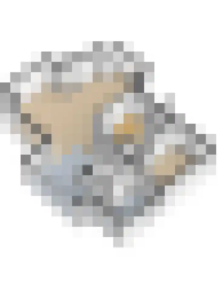 Carel Fabritiuslaan 31 Yerseke thumbnail 69