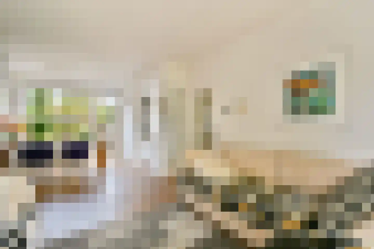 Carel Fabritiuslaan 36 Amstelveen thumbnail 10