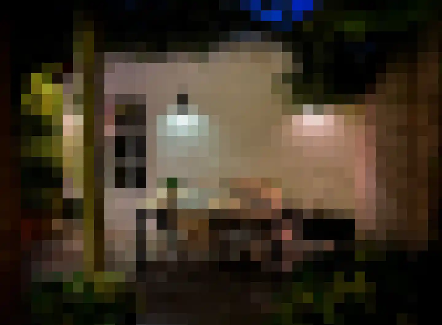 Carel Fabritiuslaan 36 Amstelveen thumbnail 21