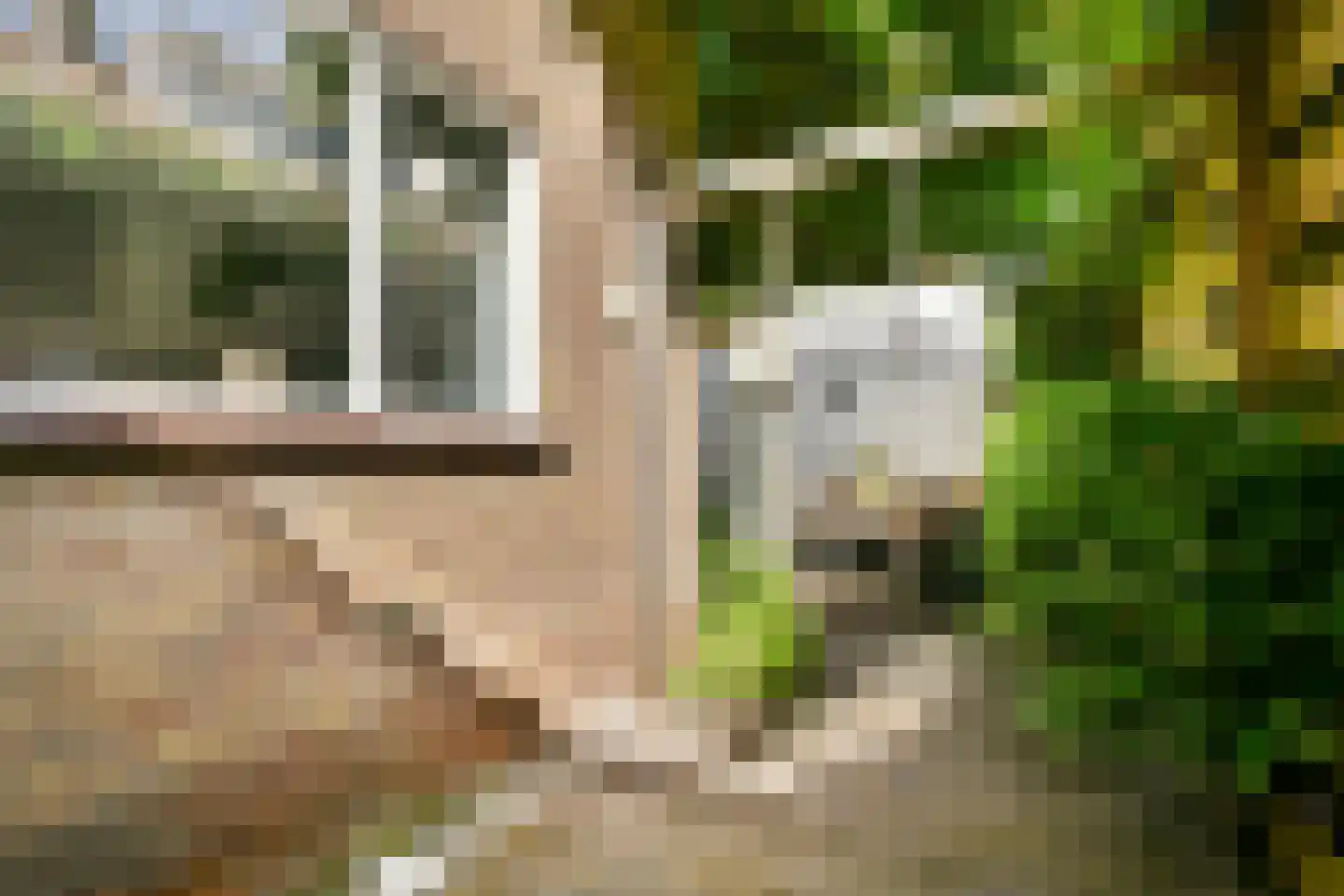 Carel Fabritiuslaan 36 Amstelveen thumbnail 23