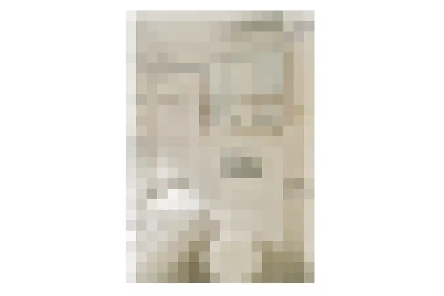 Carel Fabritiuslaan 36 Amstelveen thumbnail 31