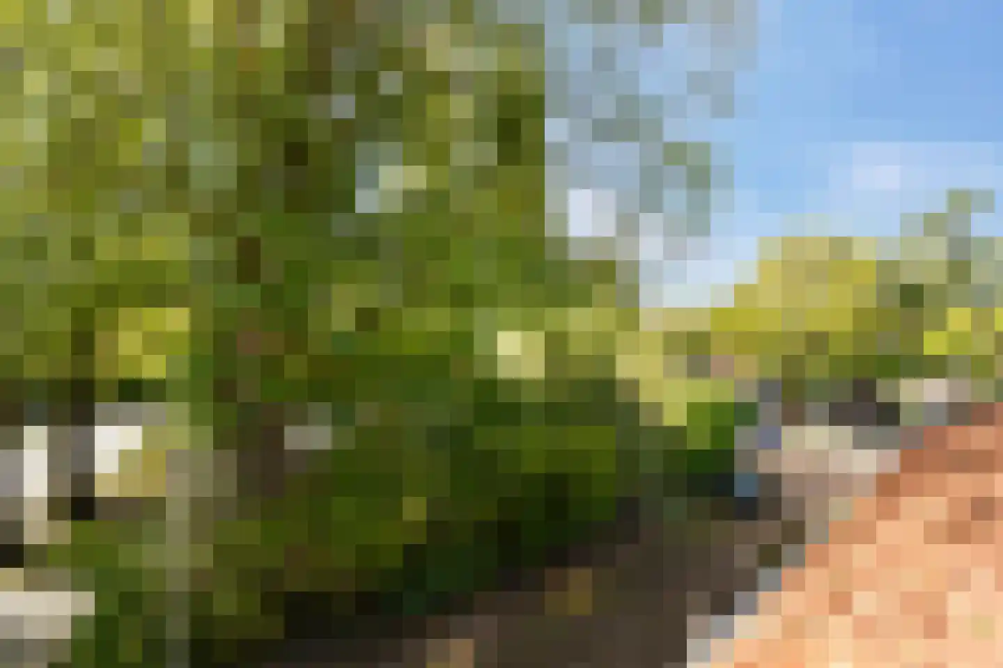 Carel Fabritiuslaan 36 Amstelveen thumbnail 37